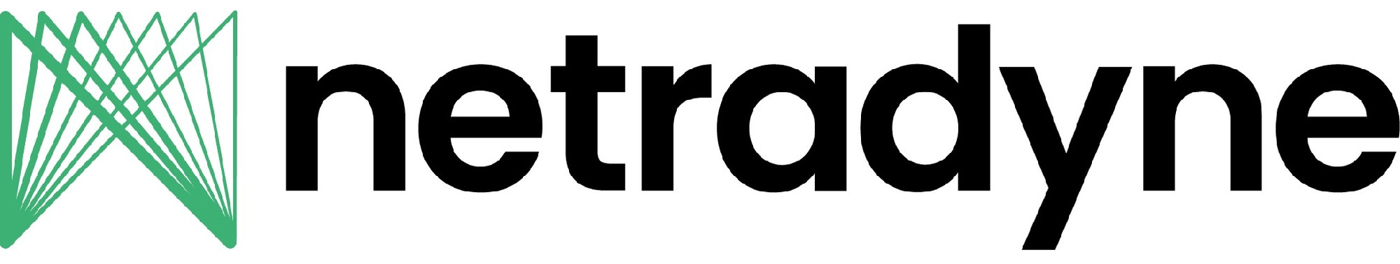 Netradyne_logo