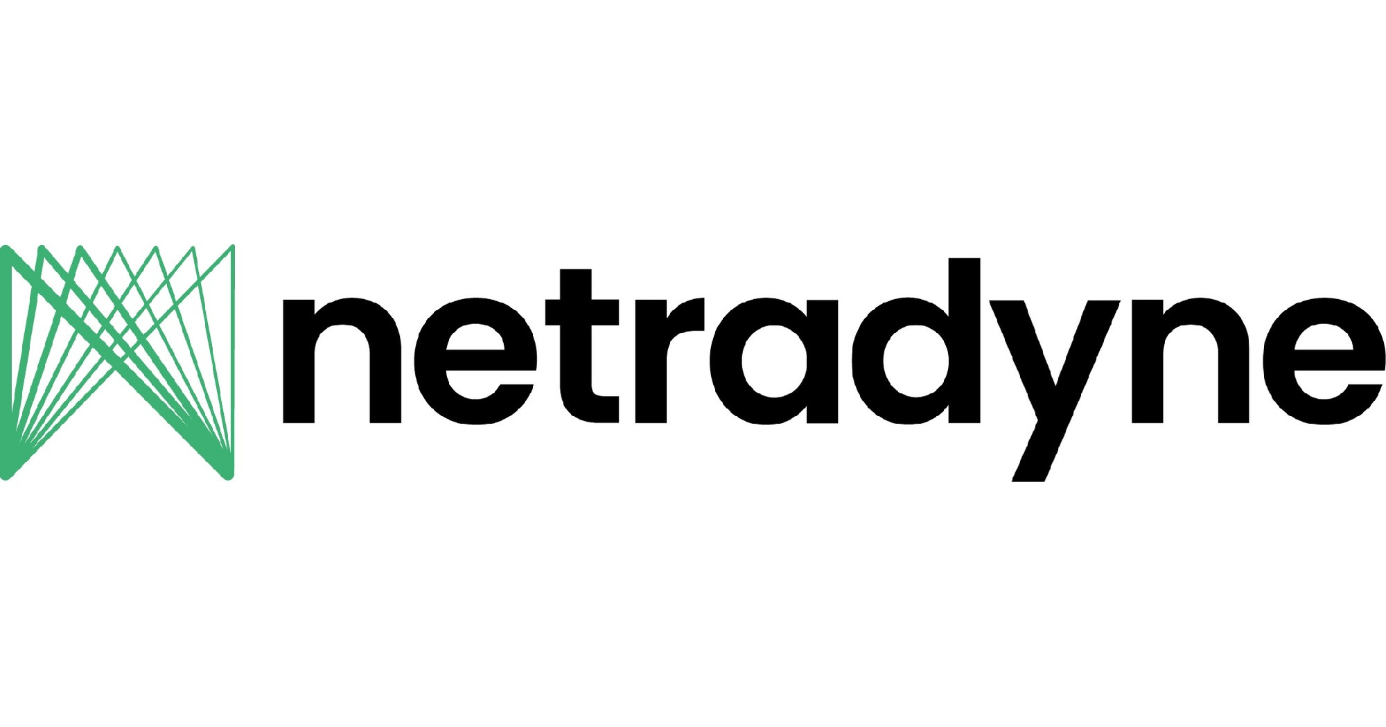 Logo for current investments – Netradyne