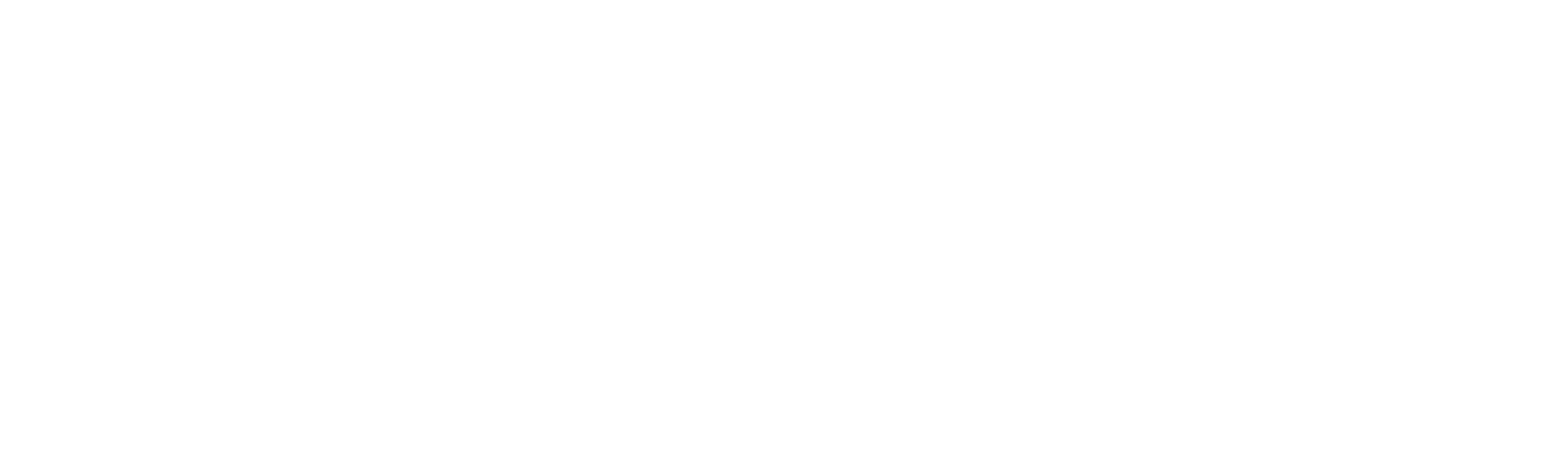 Phenna Group